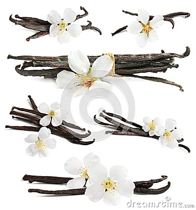 Set with aromatic vanilla pods and flowers on background Stock Photo