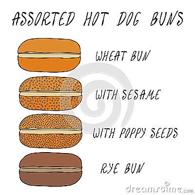 Set of Assorted Hot Dog Buns. Wheat Bun with Sesame, Poppy Seeds, Rye Bun. For Fast Food, Restaurant or Bar Menu. Hand Vector Illustration