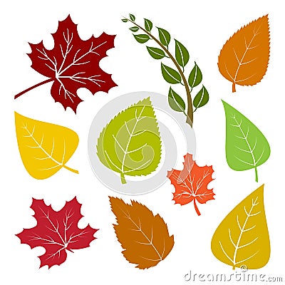 Set of autumn different leaves. Vector illustration Cartoon Illustration