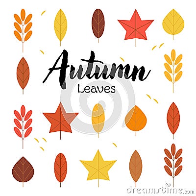 Set of Autumn Leaves and Lettering Stock Photo