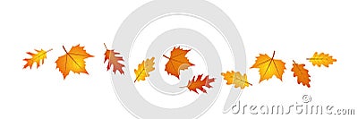 Set of autumn leaves in the wind Vector Illustration