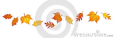 Set of autumn leaves in the wind on white background Vector Illustration