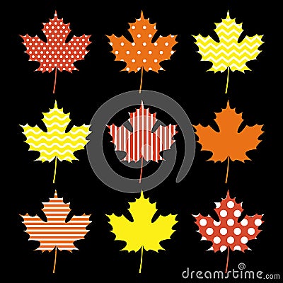 Set of Autumn Maple Leaf Stock Photo