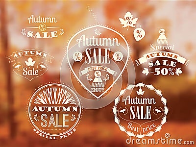 Set of Autumn Sale Labels and Signs Vector Illustration