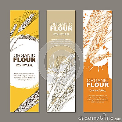 Set of backgrounds for label, package. Sketch hand drawn illustration of wheat ears. Agriculture, grain, cereal. Vector Illustration