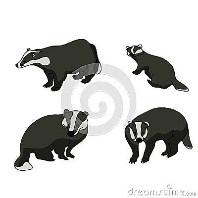 Set of badgers in cartoon style, predatory animals with fluffy wool Vector Illustration