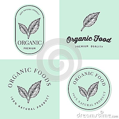 Set of badges, banner, labels and logos for Organic natural and fresh food product with hand drawn leaf. Packaging design. Vector Illustration