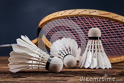 A set of badminton. Paddle and the shuttlecock. Stock Photo