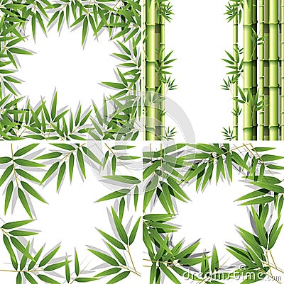 Set of bamboo frames Vector Illustration