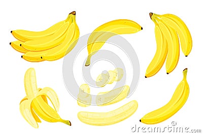 A set of bananas.Bunch of bananas, slices of bananas, peeled banana. Vector Illustration