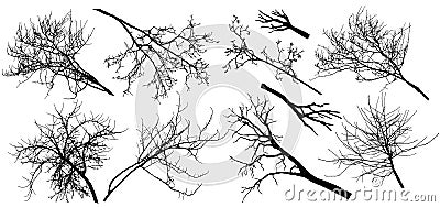 Set of bare branches trees. Silhouettes of autumn different branches trees. Vector illustration Vector Illustration