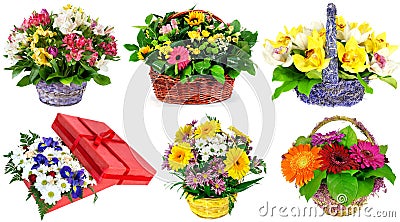 Set of baskets of fresh flowers, gift, isolated on white background Stock Photo