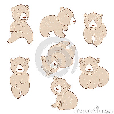 Set of bears Vector Illustration