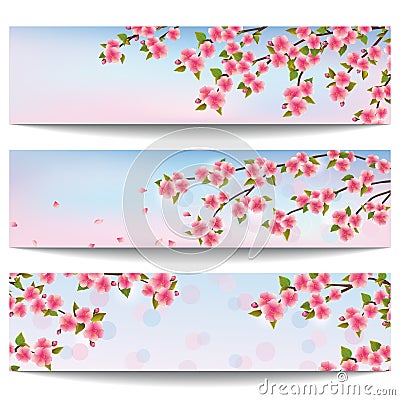 Set of beautiful banners with pink sakura cherry tree Vector Illustration