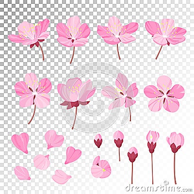 Set of beautiful cherry tree flowers on wite background. Collection of pink sakura or apple blossom, japanese Vector Illustration
