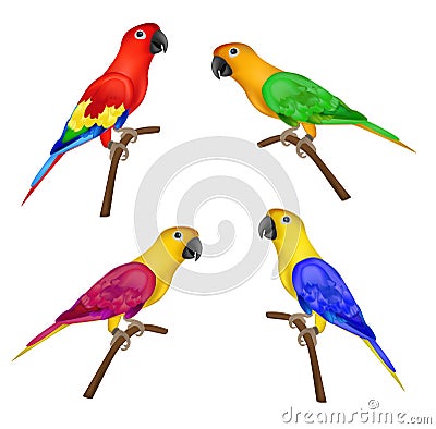 Set of beautiful colorful parrots on white background- Vector Illustration