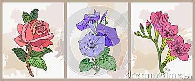 Set of birth month flower vector art posters. Vector Illustration