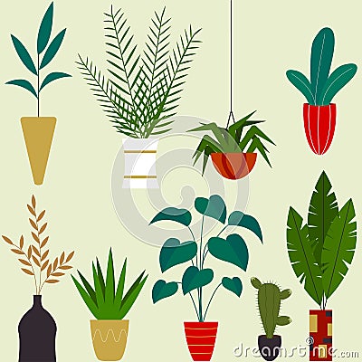 Set of beautiful indoor plants. Flowers in pots. Gardening decoration. Vector illustration in flat cartoon style. Vector Illustration