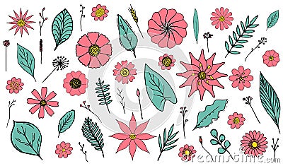 Set of isolated hand drawn coral flowers and green leaves and herbs Vector Illustration