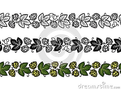 Set of beer hop seamless borders color and monochrome. Hop branches with cones and leaves. Hand drawn vector illustration Vector Illustration