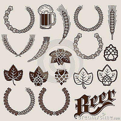 Beer Ingredients Ornamental Designs Vector Illustration