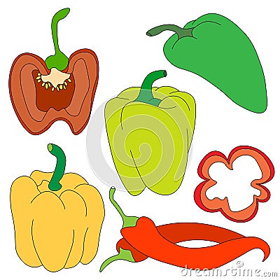 set of bell peppers red, yellow, green, hand-drawn. Whole peppers, halves with seeds and cut into pieces. Food, vegetables in Vector Illustration