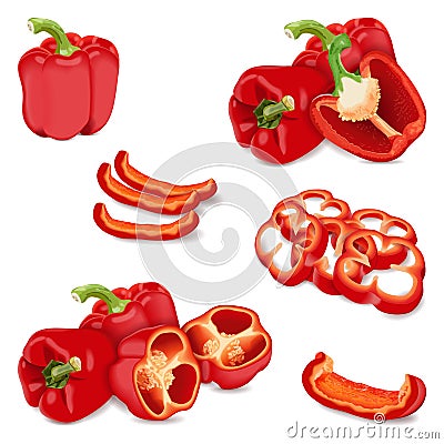 Set of bell peppers. Whole, half, sliced, wedges capsicum. Vector illustration. Vector Illustration