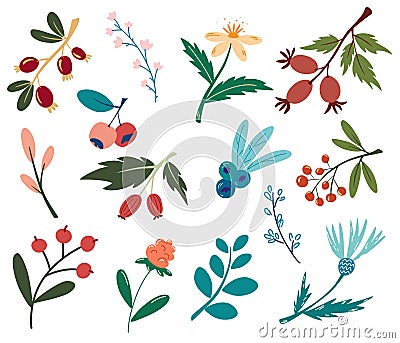 Set of berries and flowers. Forest plants, berries, flowers. Vegan, farm, detox, natural food concept. Wild berries and flowers. Cartoon Illustration