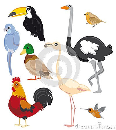 Set of birds Stock Photo