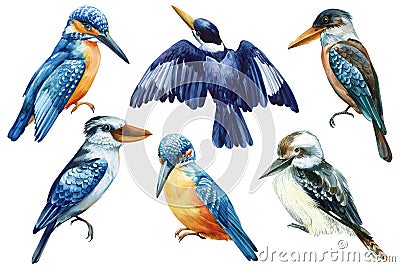 Set of birds, kookaburra and kingfisher on a white isolated background, watercolor hand drawn painting. Australian bird Cartoon Illustration