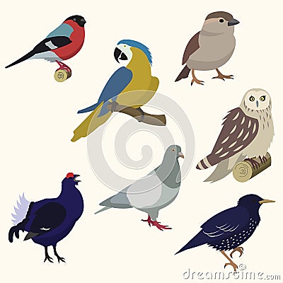 Set of birds. Vector Illustration