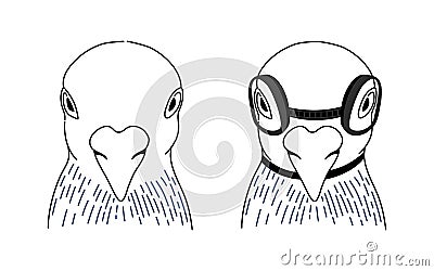 Set of birds wearing goggle glasses on black and white linear vector Vector Illustration