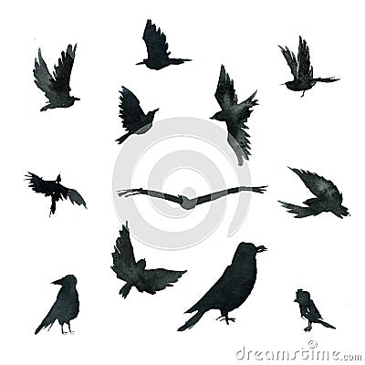 Set of black crow birds in various poses Cartoon Illustration