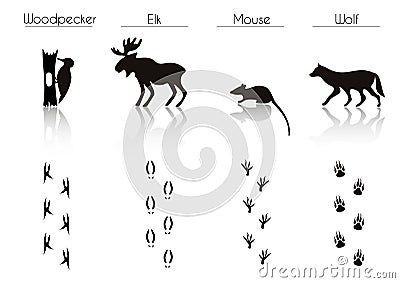 Set of Black Forest Animals and Birds Silhouettes: Woodpecker, E Stock Photo