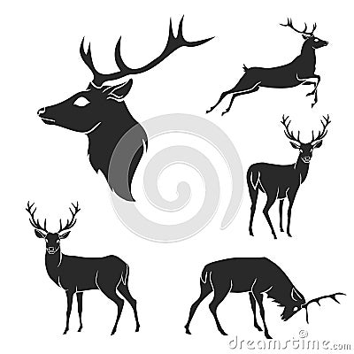 Set of black forest deer silhouettes. Suitable for Vector Illustration