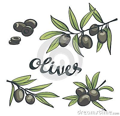 Set of black olives with leaves. Vector Illustration