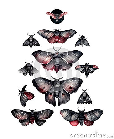 Set of black and red watercolor Moths and butterflies, gloomy style, isolated illustrations created with Generative AI technology Cartoon Illustration