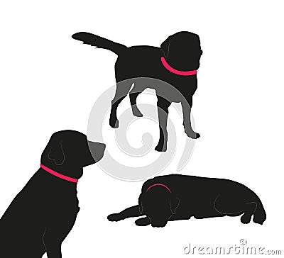 Set of black silhouette of big dog with collar on white background. Vector Illustration