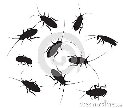 Set of black silhouette cockroach with detail Vector Illustration