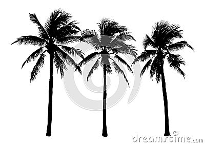 set of black silhouette coconut tree, isolated natural plant sign, silhouette vector illustration Vector Illustration