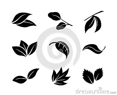 Set of black vector leaf icons on white background Vector Illustration