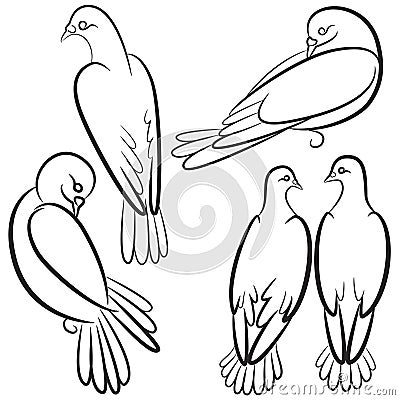 Set of black and white contours of four pigeons. Vector Illustration