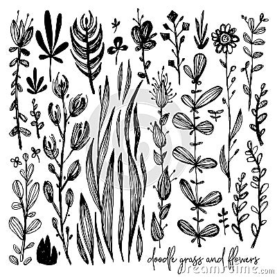 Set of black and white doodle elements, meadow, rose, grass, bushes, leaves, flowers. Vector illustration, Great design Vector Illustration