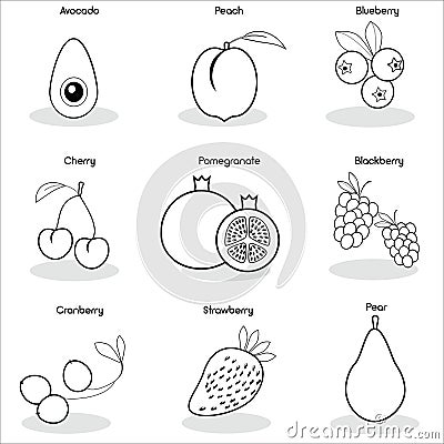 Set of black and white fruit icons. Vector Vector Illustration