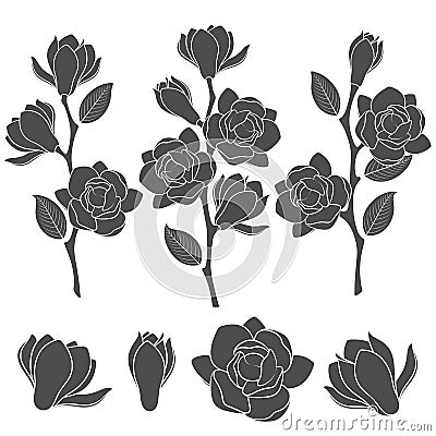 Set of black and white illustrations with flowering magnolia branches. Isolated vector objects. Vector Illustration