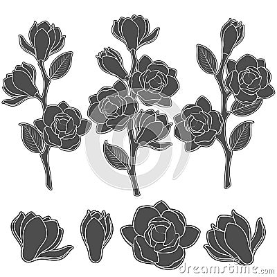 Set of black and white illustrations with flowering magnolia branches. Isolated vector objects. Vector Illustration