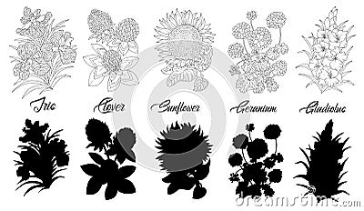 Set of black and white outline flowers - iris, clover, sunflower, geranium, gladiolus Cartoon Illustration