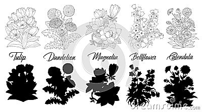 Set of black and white outline flowers - Tulip, Magnolia, Dandelion, Bellflower, Calendula Vector Illustration