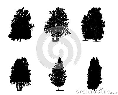 Set of Black and White Silhouette of Deciduous Tree, whose branc Vector Illustration