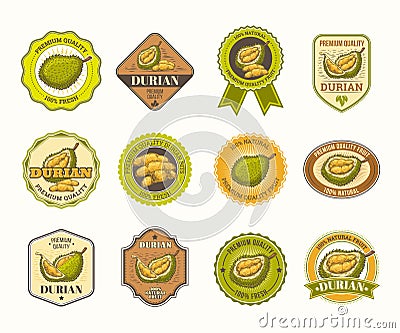 Set of black and white vector badges, stickers, high quality signs, with durian fruit Vector Illustration